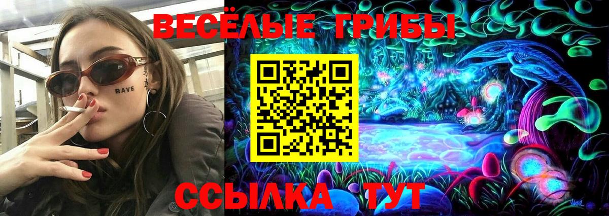 Губкинский  Псилоцибиновые грибы GOLDEN TEACHER  Вход с VPN 